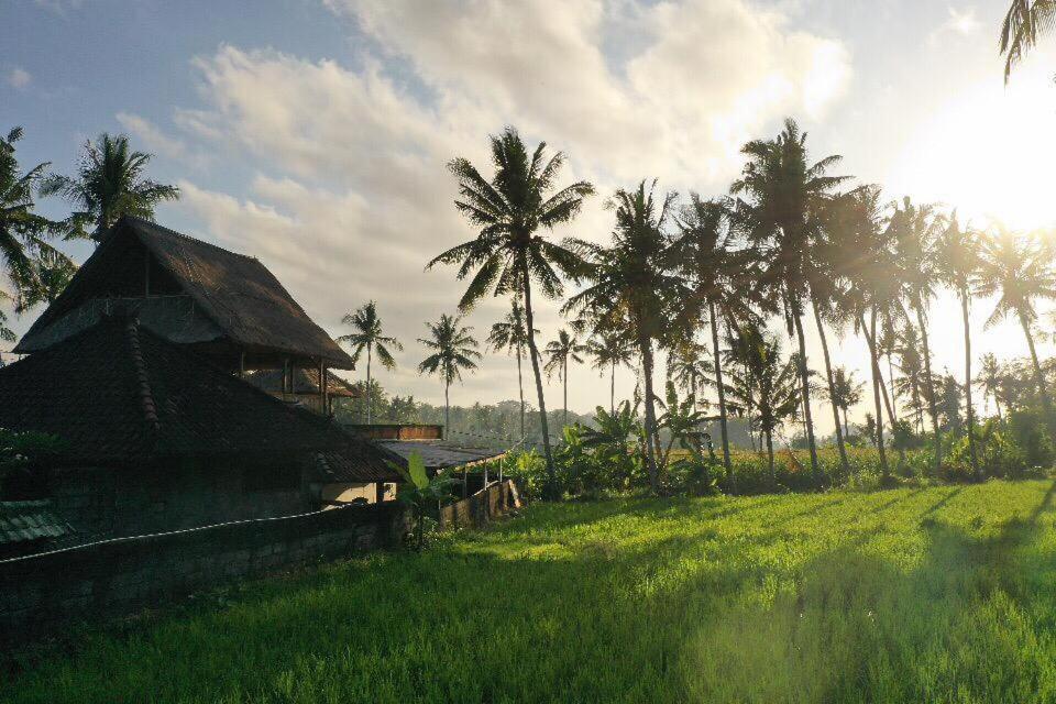 Pondok Diana Jasri Exteriér fotografie